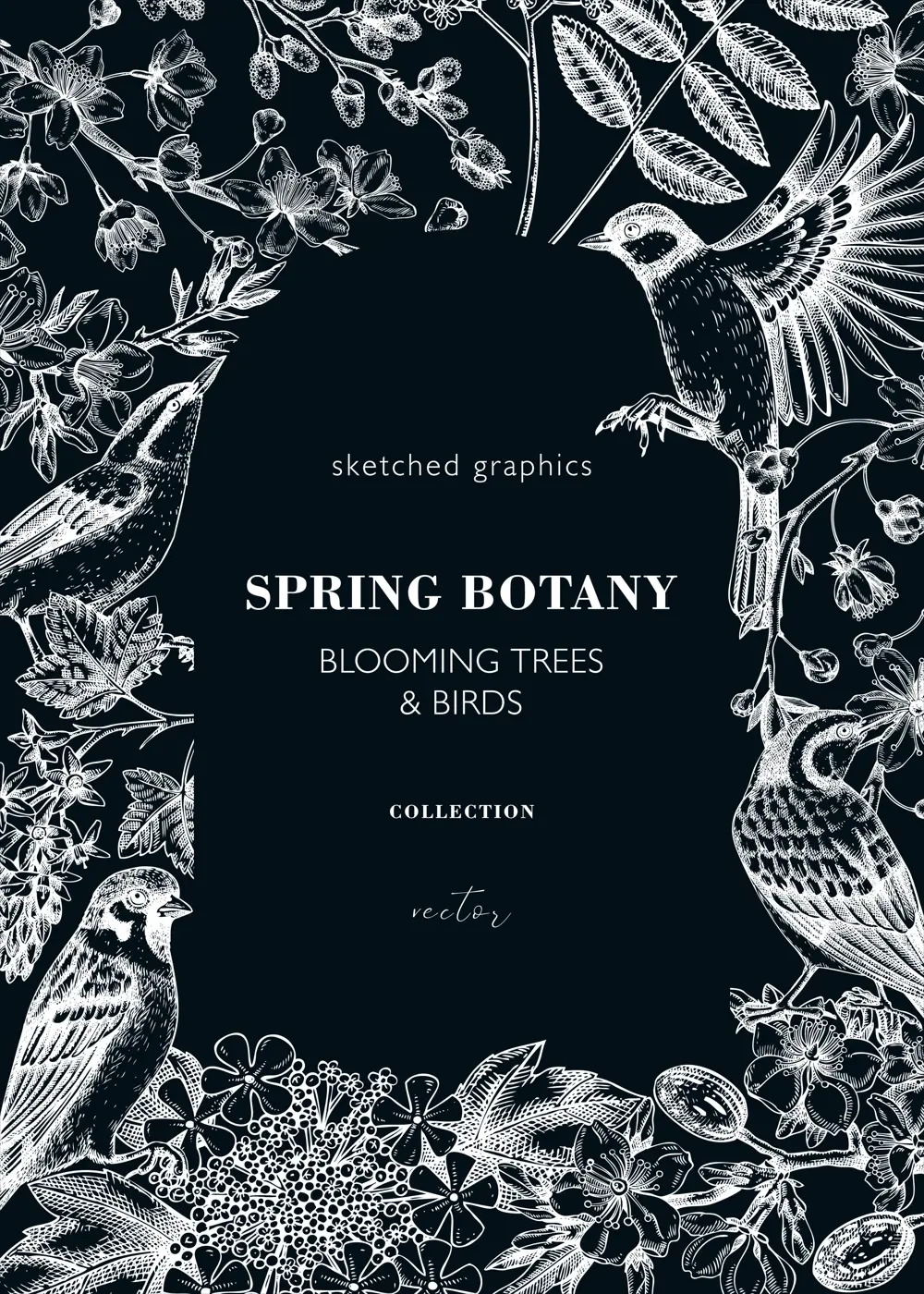 Spring garden frame design on chalkboard. Hand drawn birds and flowers card or banner template. Vintage almond, rowan, willow, cherry blossom sketches background for print. Blooming tree branches Illustration